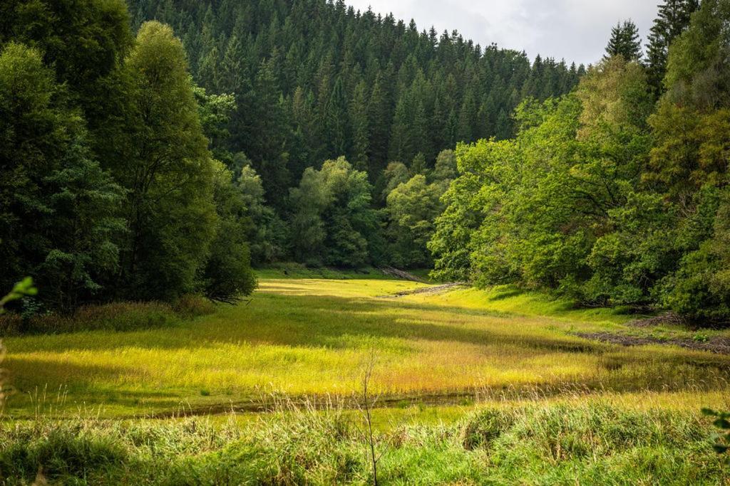 Haus Sonnentau Leilighet Monschau Eksteriør bilde