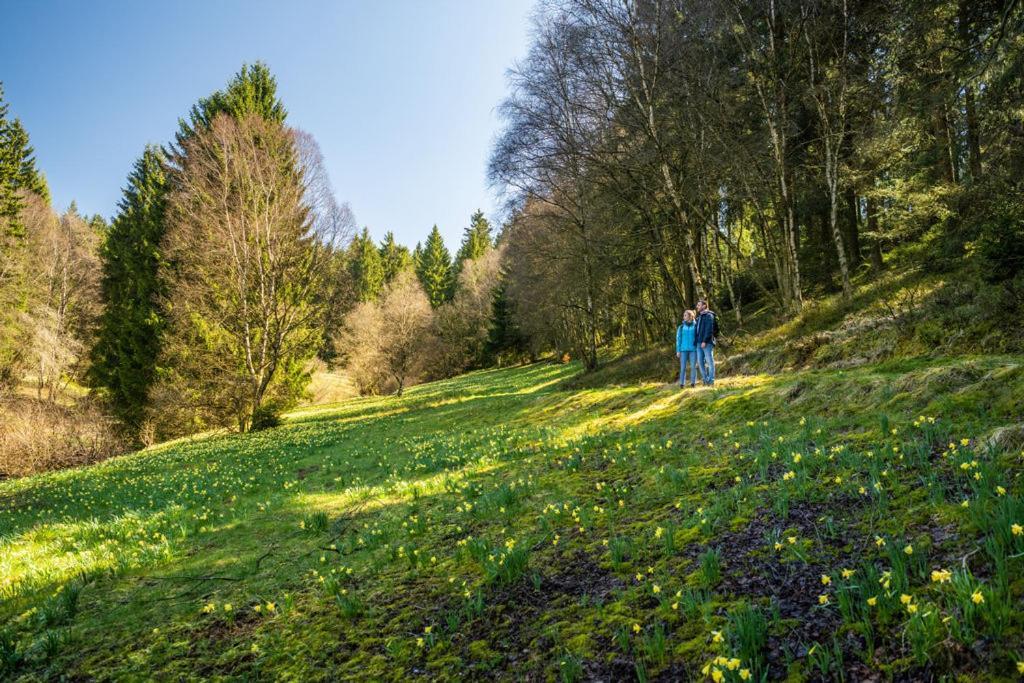 Haus Sonnentau Leilighet Monschau Eksteriør bilde